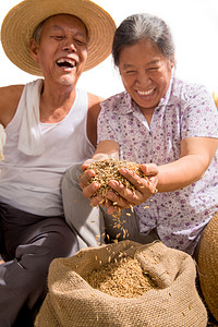 新中国70摄影照片_老年夫妇捧着稻谷