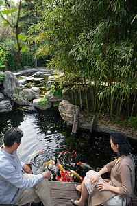 水摄影照片_老年夫妇在院子里喂鱼
