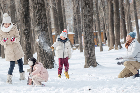 嬉戏摄影照片_雪地里打雪仗的一家人