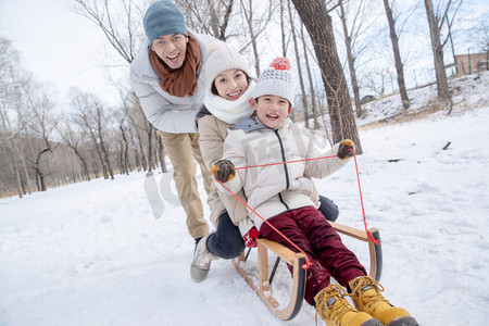 雪树林摄影照片_在雪地上玩雪橇的一家人