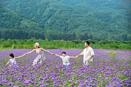 一家四口手牵手走在花海里