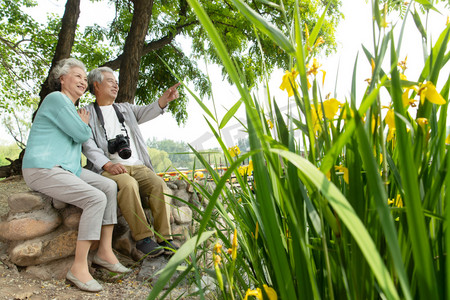 活动70摄影照片_老年夫妇坐在公园里