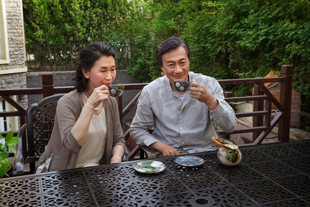 家庭喝水摄影照片_老年夫妇坐在院子里喝茶