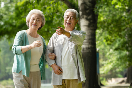 春游活动摄影照片_老年夫妇在公园里散步