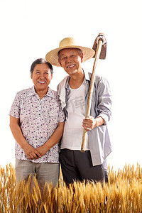 农民夫妇摄影照片_老年夫妇在麦田