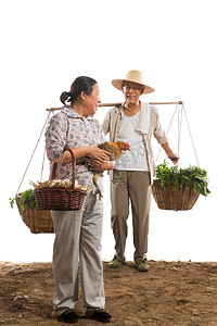 家禽鸡摄影照片_农民夫妇拿着蔬菜和家禽