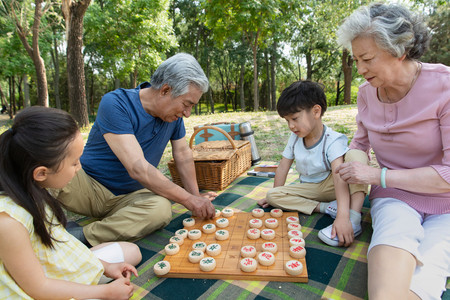 欢乐家庭在户外下象棋