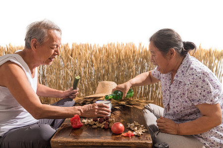 麦田背景摄影图片-麦田背景摄影作品-千库网