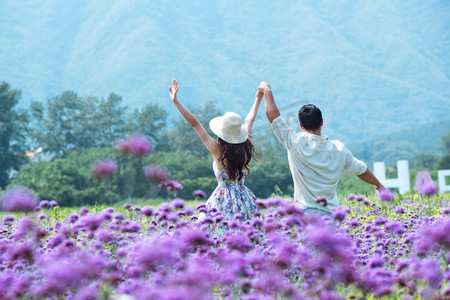 走背影摄影照片_青年夫妇手牵手走在花海里
