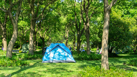 夏日露营森林绿树帐篷郊游摄影图配图