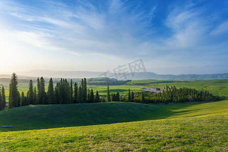 森林风景自然摄影照片_新疆伊犁那拉提空中草原风光摄影图配图