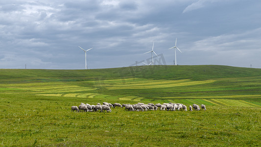 母婴主图素材摄影照片_内蒙古高山牧场农田羊群上午草原农田夏季素材摄影图配图