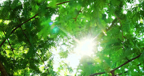 夏日清空朋友摄影照片_夏季炎炎烈日日光太阳光逆光夏日夏天风景自然风景