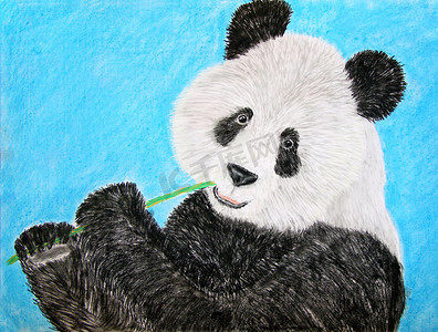 卡通首页摄影照片_大熊猫