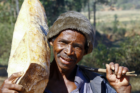 木色电商展台摄影照片_努力工作的人携带一棵树干-马达加斯加