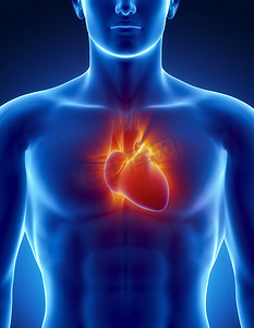 人的心脏与发光射线详细
