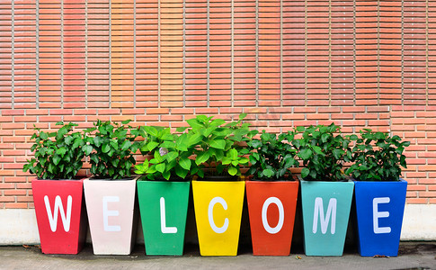 多彩的欢迎您 ！