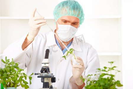 持仓摄影照片_研究员撑在实验室里的转基因植物