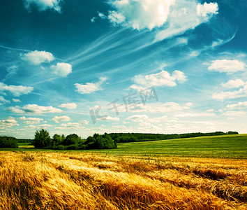 带麦田和云彩的夏季风景