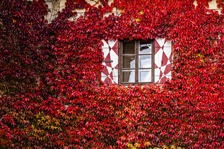 秋天爬山摄影照片_在秋天像房子的窗口