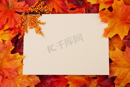 圣纸张摄影照片_与秋天的空白卡留给您的消息或邀请