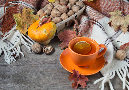 秋天首页摄影照片_杯茶，格子和树叶秋天静物