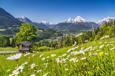 与传统山阿尔卑斯山田园山景观提出在春天