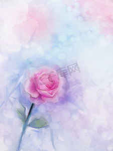 花卉画。粉红玫瑰花卉在柔和的颜色