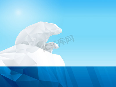 几何冬季摄影照片_冰山上的多边形熊