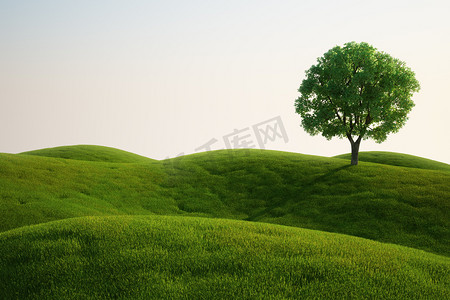 草坪与蓝天摄影照片_草田与一棵树