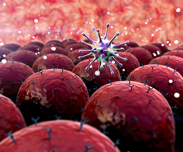 细胞核结构摄影照片_病毒细胞