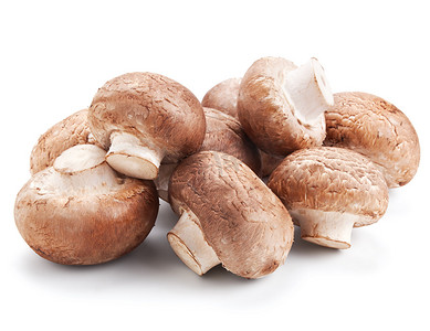 新鲜蘑菇香菇上白色隔离