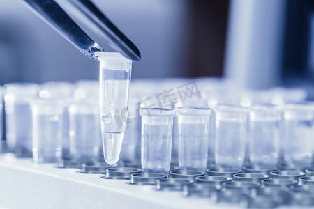 透明度摄影照片_加载为 pcr dna 样本