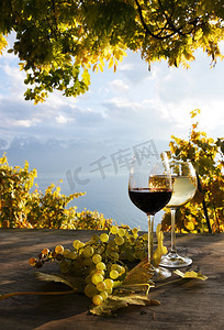 一双个酒杯和串葡萄。瑞士拉沃葡萄园小区域
