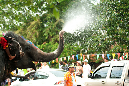 年轻大象玩水.