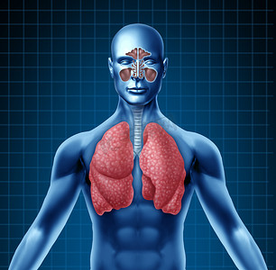 流感病人摄影照片_人类窦和呼吸道系统