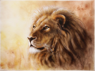 喷枪柔边画笔摄影照片_狮子的头部与 majesticaly 和平表达一美丽喷枪画