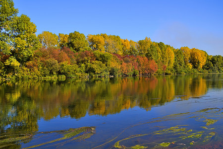 地球自然黄色摄影照片_这条河把岸上的明亮树木秋天山水美如画