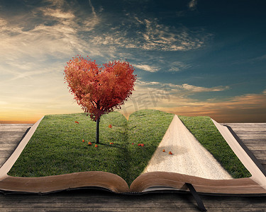 心树和书