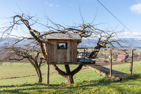 洋房摄影照片_树上的房子-小屋-农场