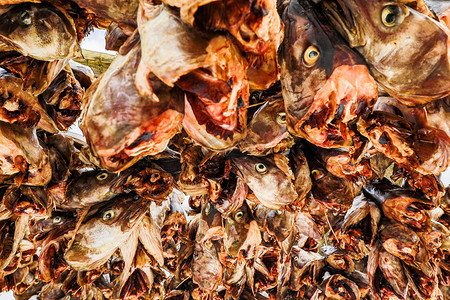 半岛背景摄影照片_传统户外干燥作为背景的挪威鳕鱼.