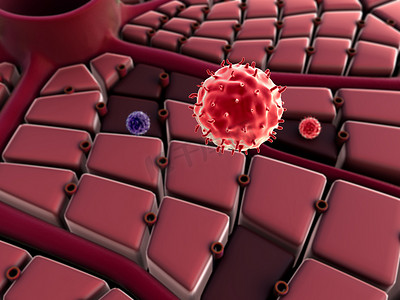 巨噬细胞摄影照片_肝炎肝