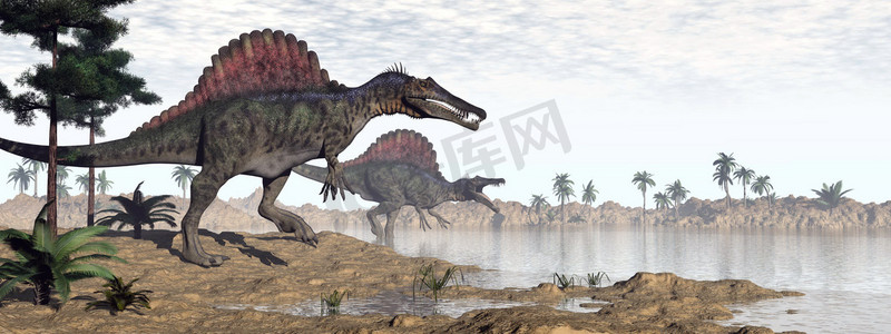 云彩3d摄影照片_Spinosaurus Dinosaurier in Wüste - 3d render