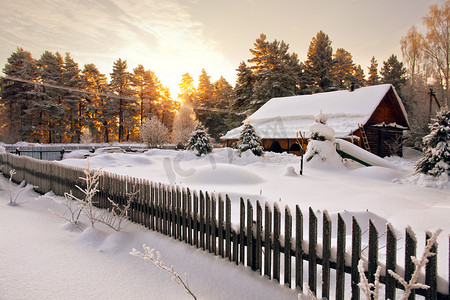 在黎明时房子包围在森林里的雪