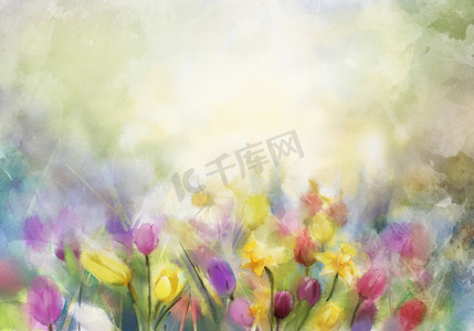 花朵海报摄影照片_画的水彩花
