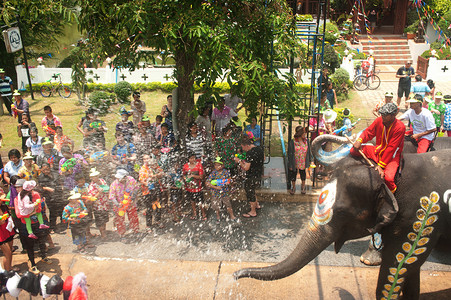 潑摄影照片_年轻大象玩水.