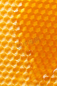 对称背景摄影照片_新鲜蜂蜜在梳子