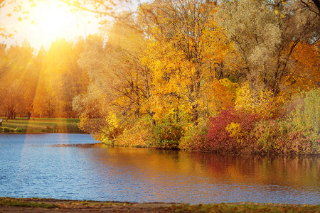 做核酸场面摄影照片_湖边的秋天公园.