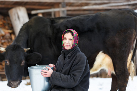 挤奶女工摄影照片_奶牛在院子里冬天的农妇