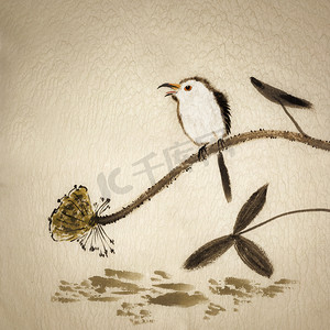 鸟伤心摄影照片_中国传统水墨画